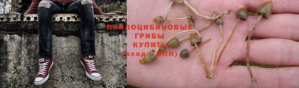 марки nbome Дмитров