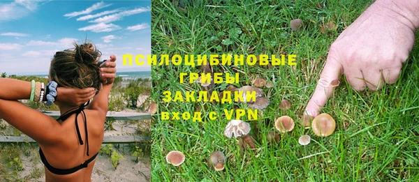 бошки Дмитровск