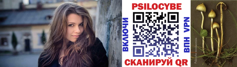 Галлюциногенные грибы мицелий  Добрянка 